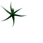 logo feriatomate2024 tranps