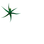 LOGO FeriaTomate20252
