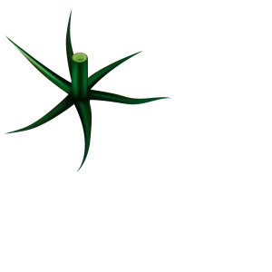 logo feriatomate2024 tranps